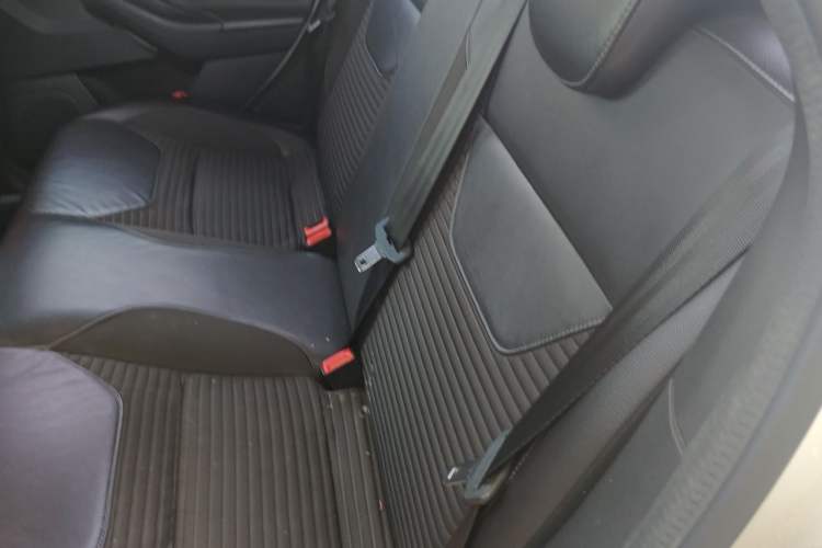 Used Ford Focus 2015 Sedan 1.6L Manual Fashion Edition Left Rear Seat