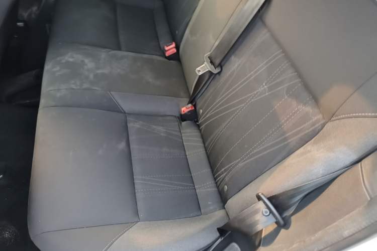 Used Ford Focus 2015 Hatchback 1.6L Automatic Comfort Model Left Rear Seat