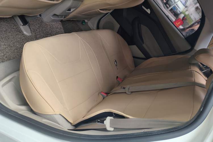Used Ford Focus 2015 Sedan 1.6L Automatic Comfort Model Left Rear Seat