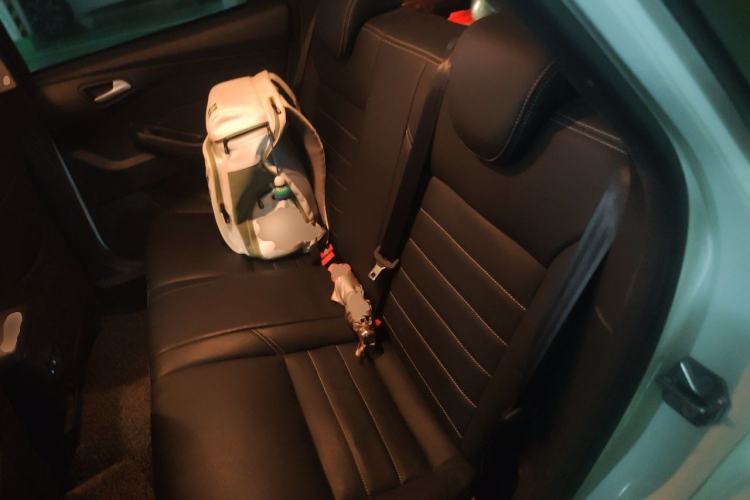 Used Ford Focus 2015 Hatchback 1.6L Automatic Comfort Model Left Rear Seat