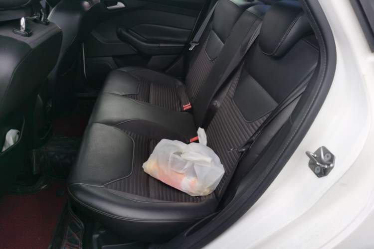 Used Ford Focus 2015 Sedan EcoBoost 125 Automatic Supreme Style Edition Left Rear Seat