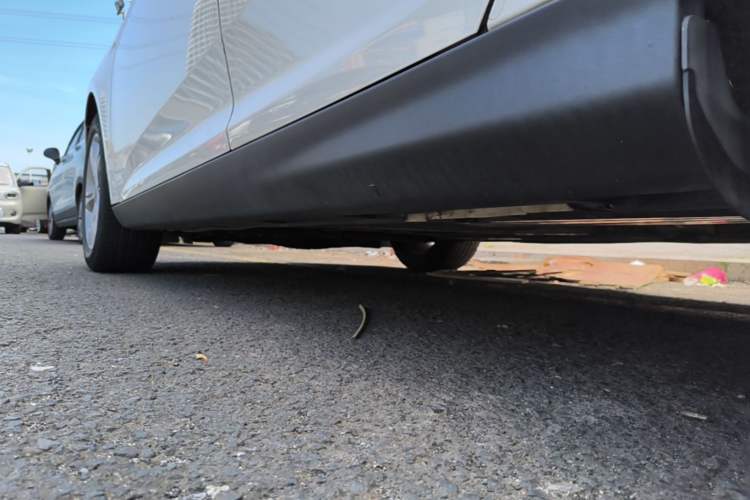 Used Ford Focus 2015 Sedan 1.6L Automatic Comfort Model Left Side Sill