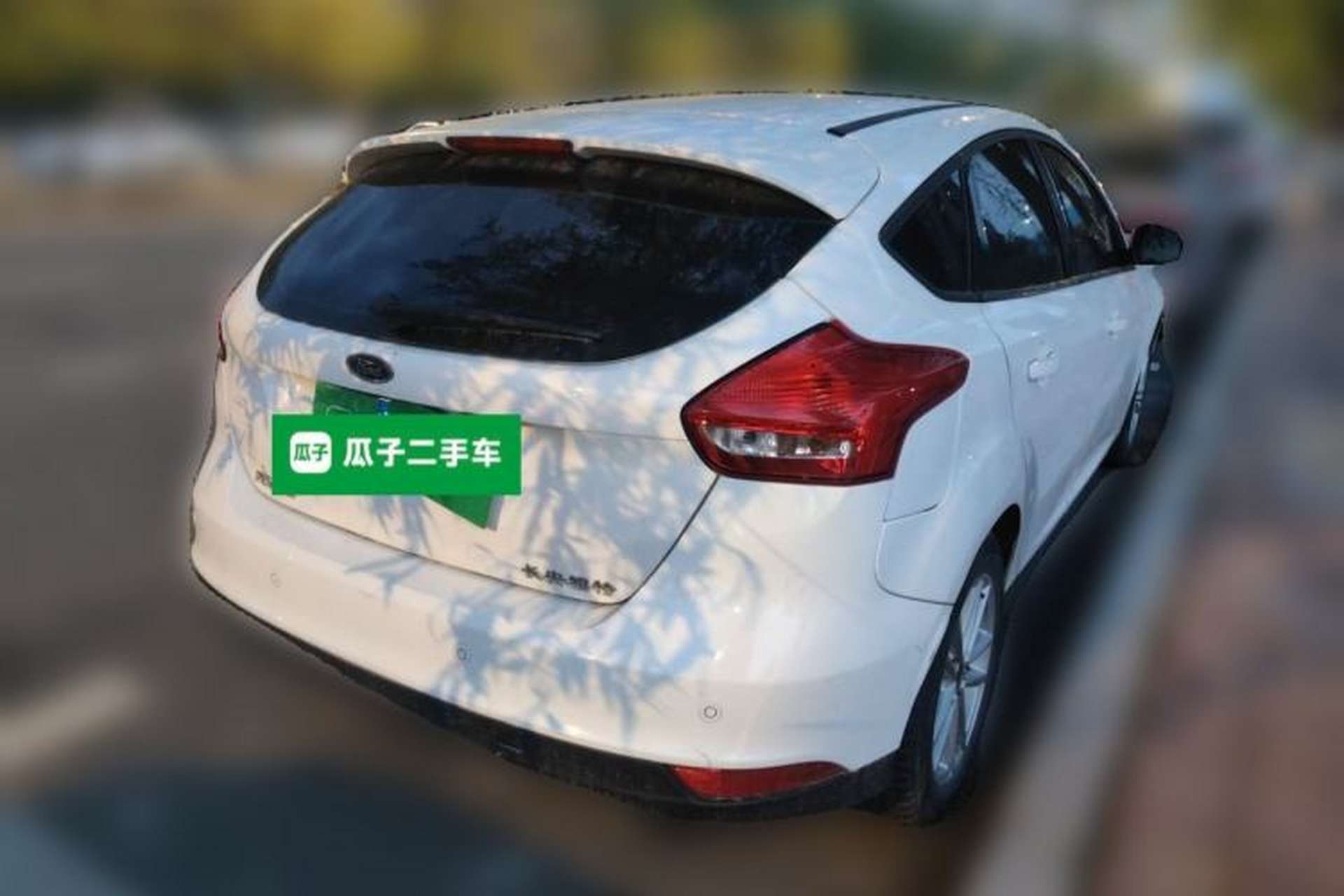 Used Ford Focus 2015 Hatchback 1.6L Automatic Fashion Edition Rear Right 45 Deg