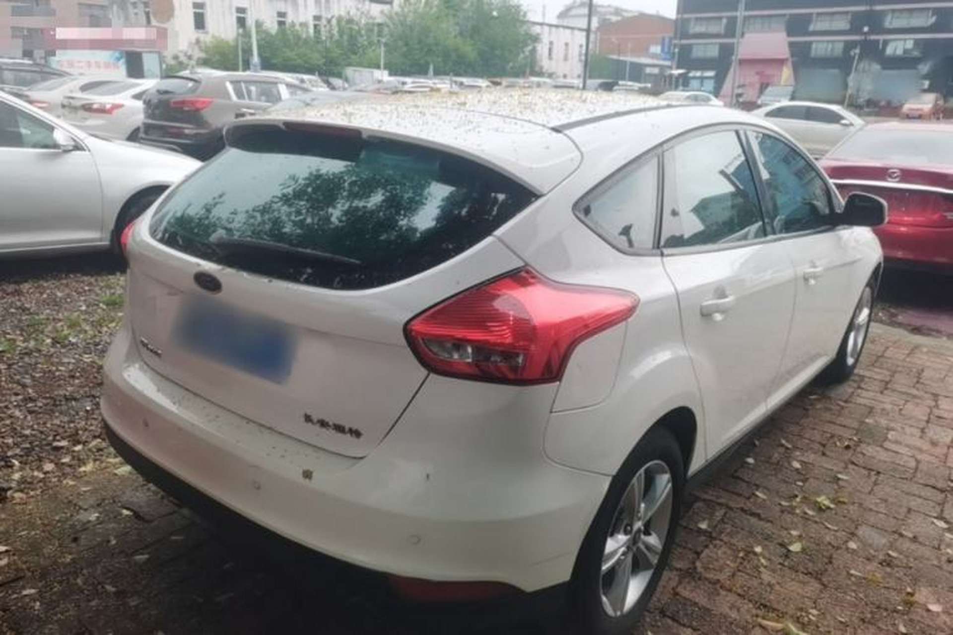 Used Ford Focus 2015 Hatchback 1.6L Manual Comfort Edition Rear Right 45 Deg
