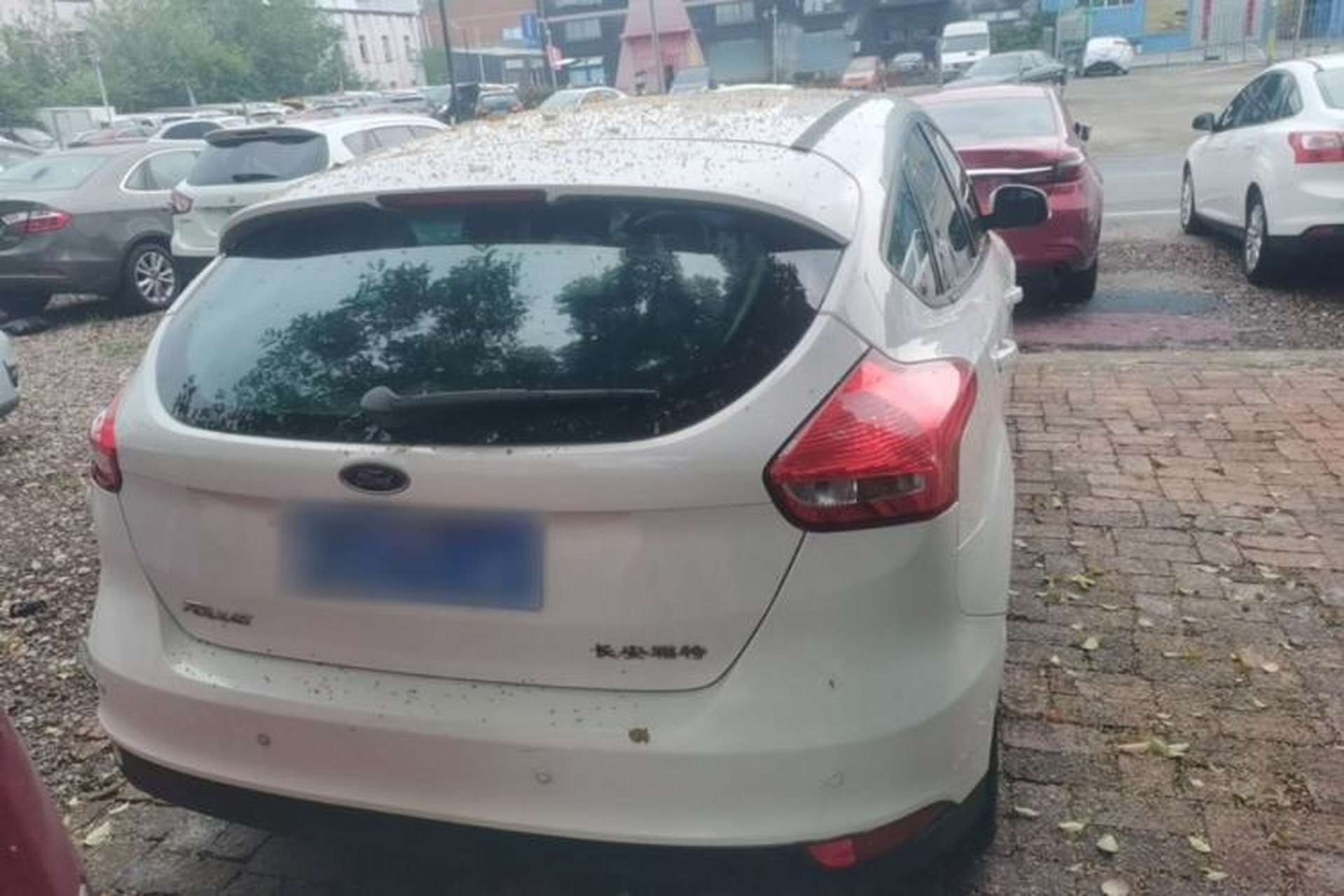 Used Ford Focus 2015 Hatchback 1.6L Manual Comfort Edition Rear