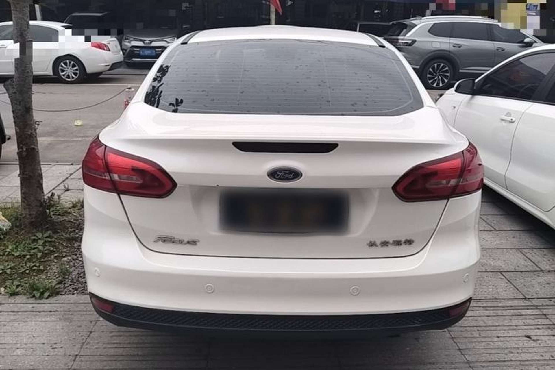 Used Ford Focus 2015 Sedan 1.6L Automatic Trend Model Rear