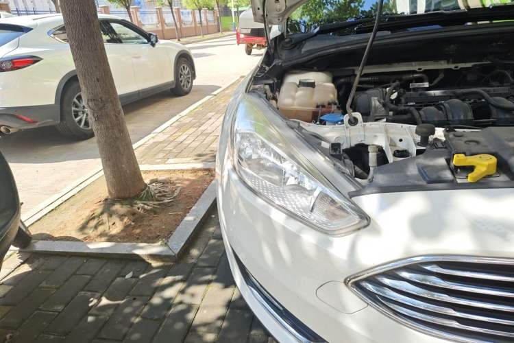 Used Ford Focus 2015 Sedan 1.6L Automatic Trend Model Right Front Headlight