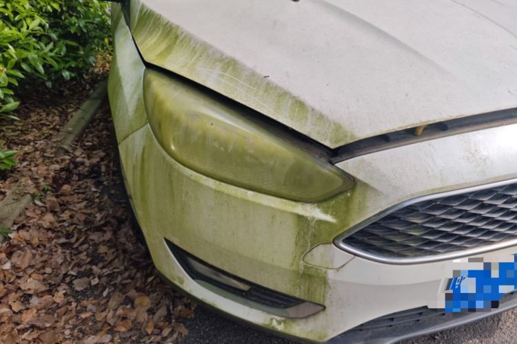 Used Ford Focus 2015 Hatchback EcoBoost 125 Automatic Supreme Style Edition Right Front Headlight