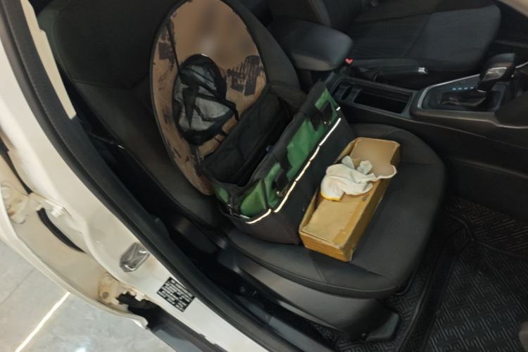 Used Ford Focus 2015 Hatchback 1.6L Automatic Comfort Model Right Front Seat