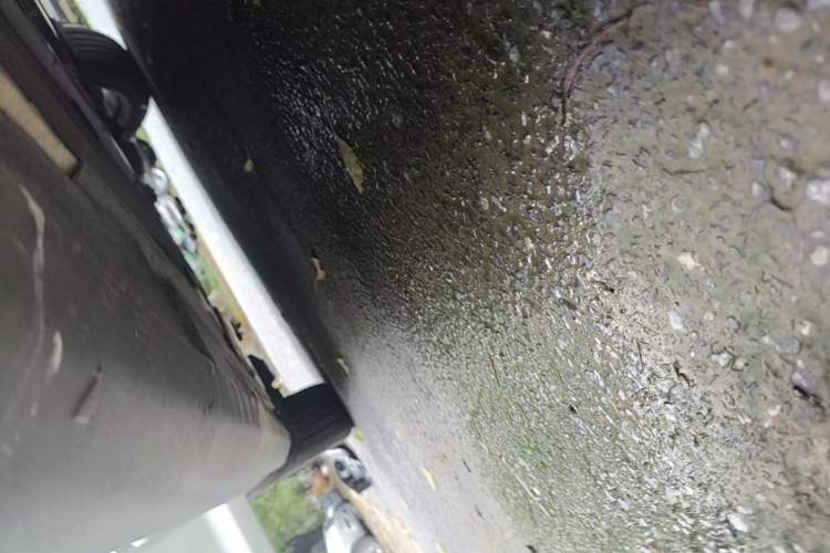 Used Ford Focus 2015 Hatchback 1.6L Automatic Fashion Edition Right Side Sill