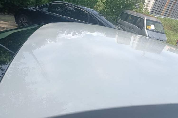 Used Ford Focus 2015 Hatchback 1.6L Automatic Comfort Model Roof