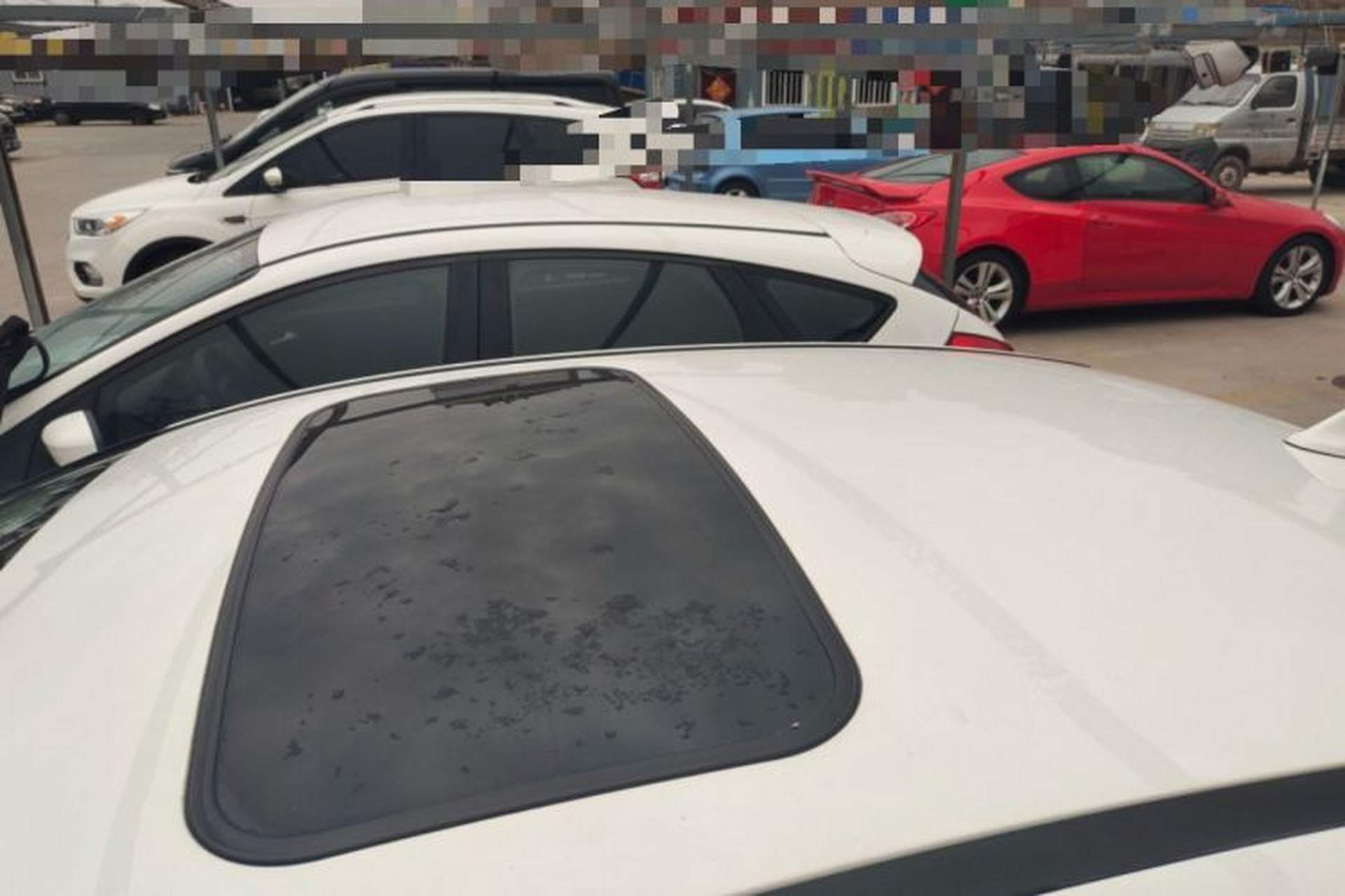 Used Ford Focus 2015 Sedan 1.6L Automatic Trend Model Roof