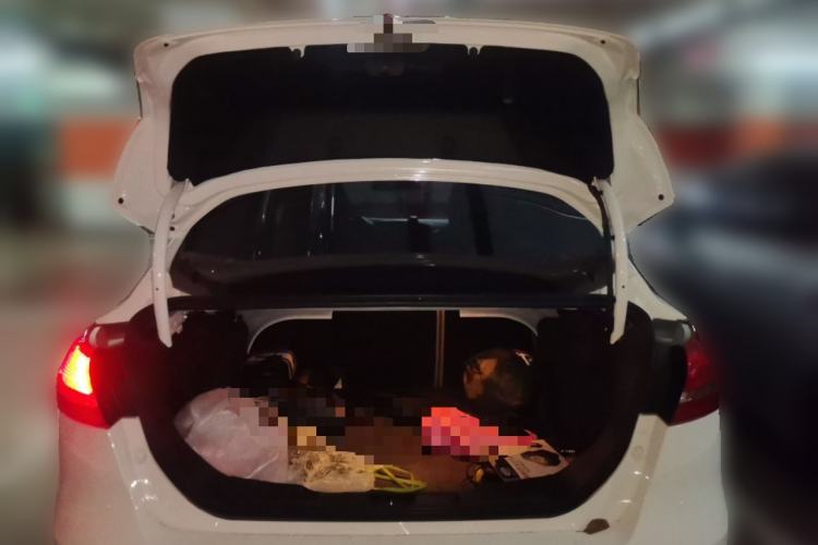 Used Ford Focus 2015 Sedan 1.6L Automatic Comfort Model Trunk