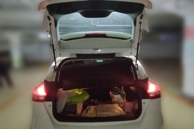 Used Ford Focus 2015 Hatchback 1.6L Automatic Fashion Edition Trunk