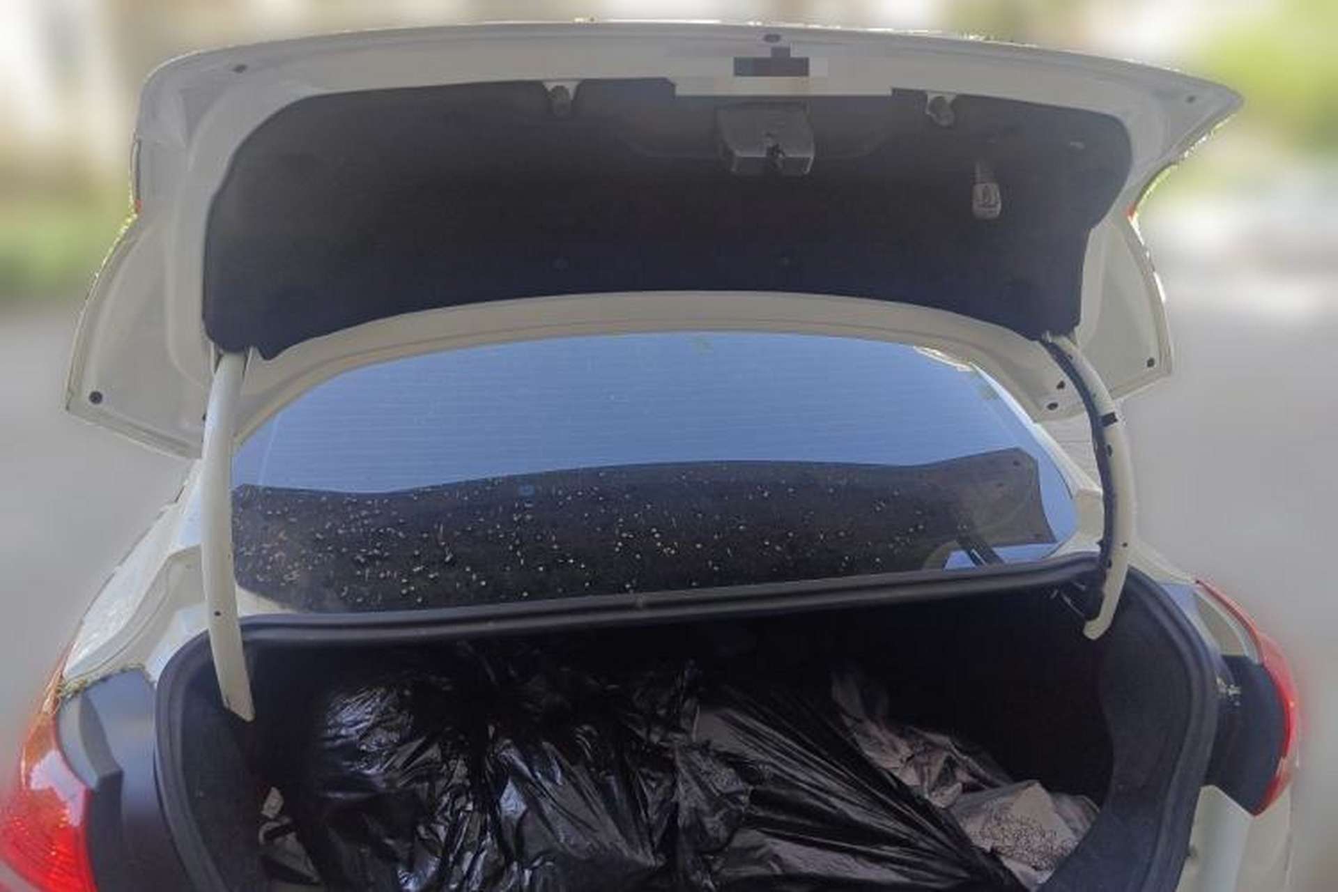 Used Ford Focus 2015 Sedan EcoBoost 125 Manual – Ultra-Style Edition Trunk