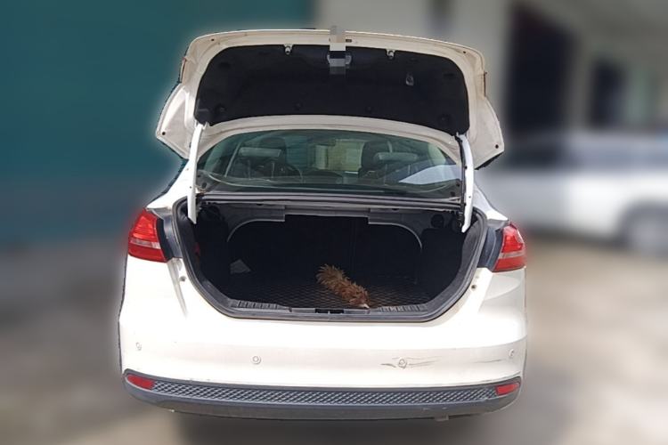 Used Ford Focus 2015 Sedan 1.6L Automatic Trend Model Trunk
