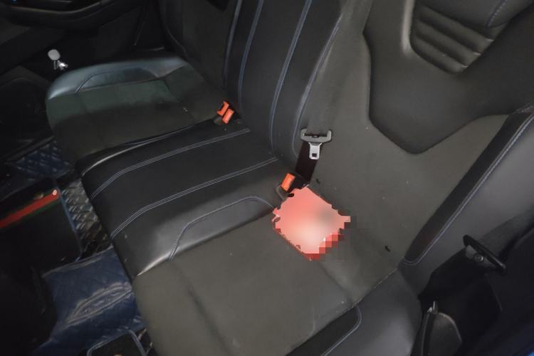 Used Ford Focus 2016 2.3T RS Track Edition Left Rear Seat