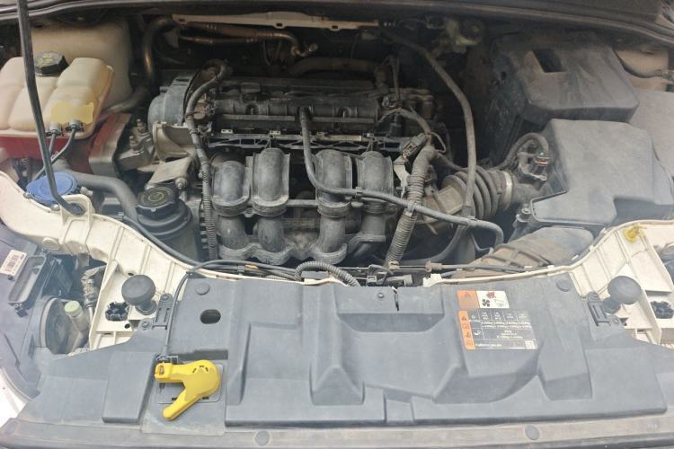 Used Ford Focus 2017 Hatchback 1.6L Manual Comfort Plus SmartDrive Edition Engine Bay