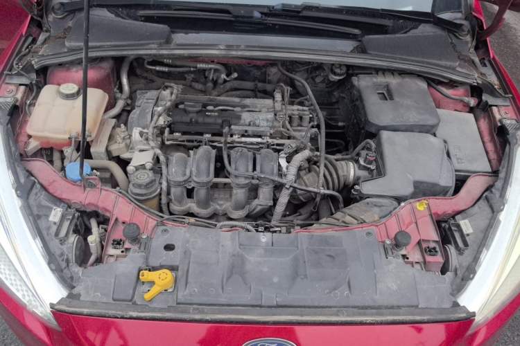 Used Ford Focus 2017 Sedan 1.6L Manual Comfort Plus SmartDrive Edition Engine Bay