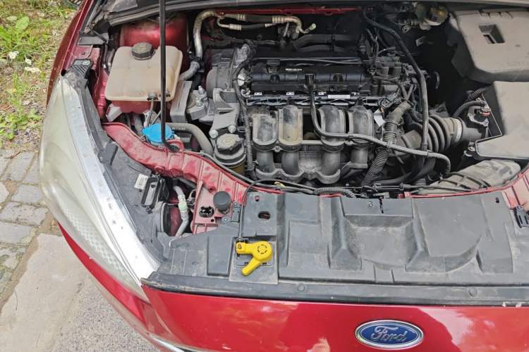 Used Ford Focus 2017 Hatchback 1.6L Automatic Comfort Plus SmartDrive Edition Engine Bay Right