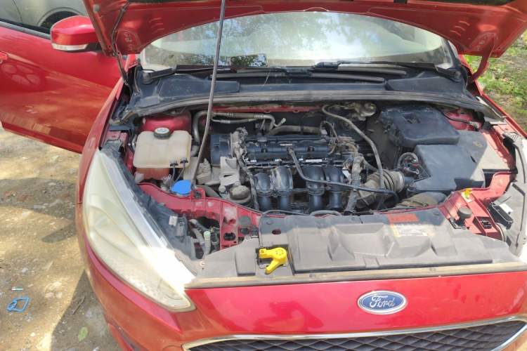 Used Ford Focus 2017 Hatchback 1.6L Manual Comfort Plus SmartDrive Edition Engine Bay Right