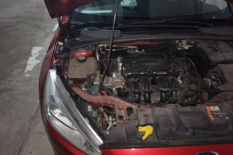 Used Ford Focus 2017 Hatchback 1.6L Automatic Comfort Plus SmartDrive Edition Engine Bay Right