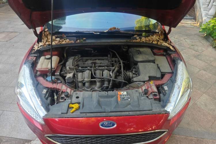 Used Ford Focus 2017 Hatchback 1.6L Automatic Fashion Edition Smart Drive Version Engine Bay
