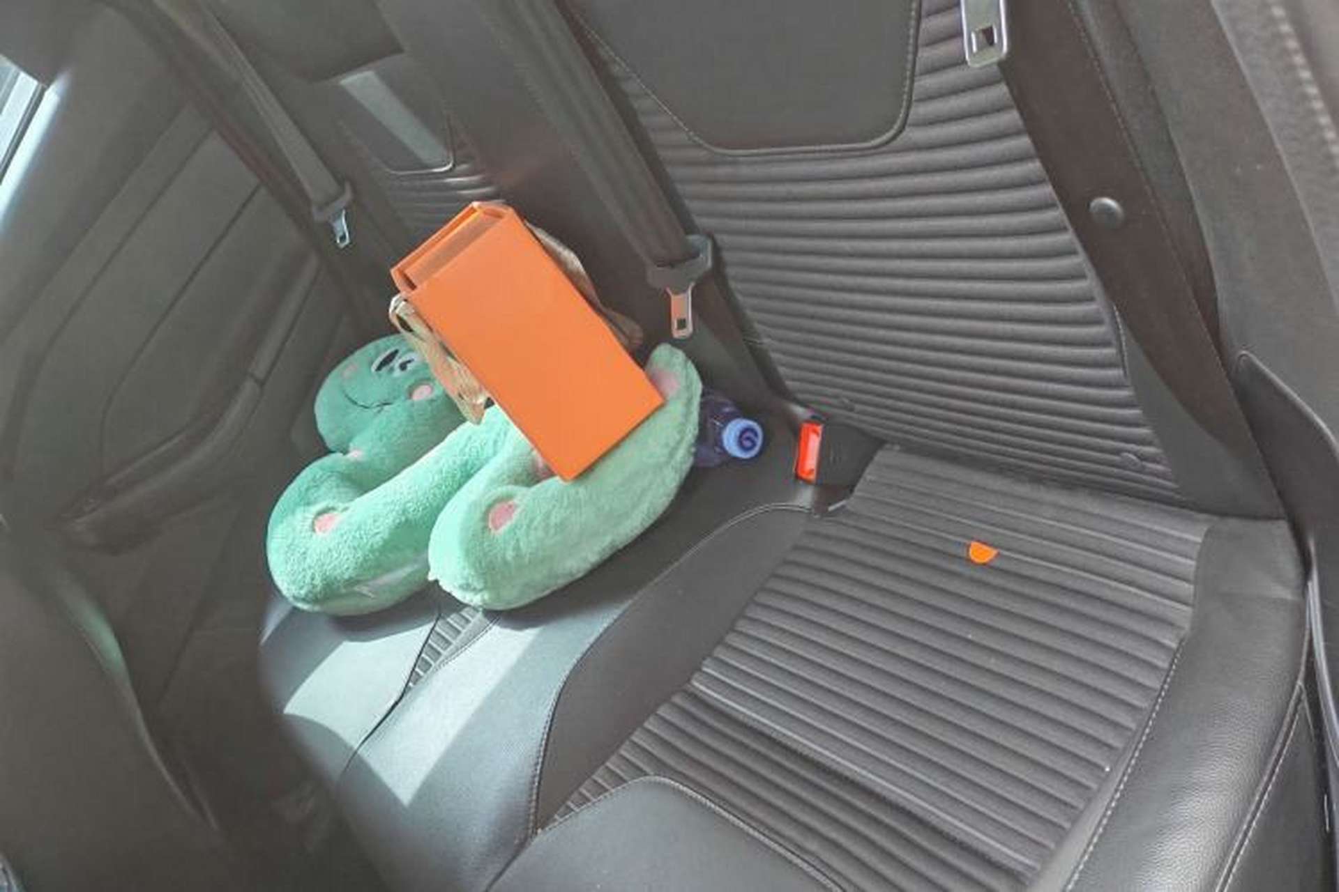Used Ford Focus 2017 Sedan 1.6L Automatic Fashion Edition Smart Drive Version Left Rear Seat
