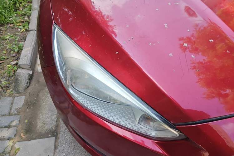 Used Ford Focus 2017 Hatchback 1.6L Automatic Comfort Plus SmartDrive Edition Right Front Headlight