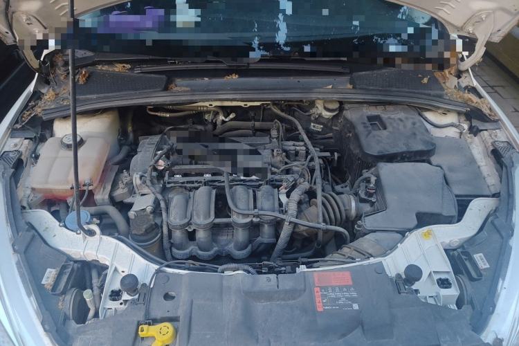 Used Ford Focus 2017 Sedan 1.6L Automatic Fashion Edition Smart Drive Version Engine Bay