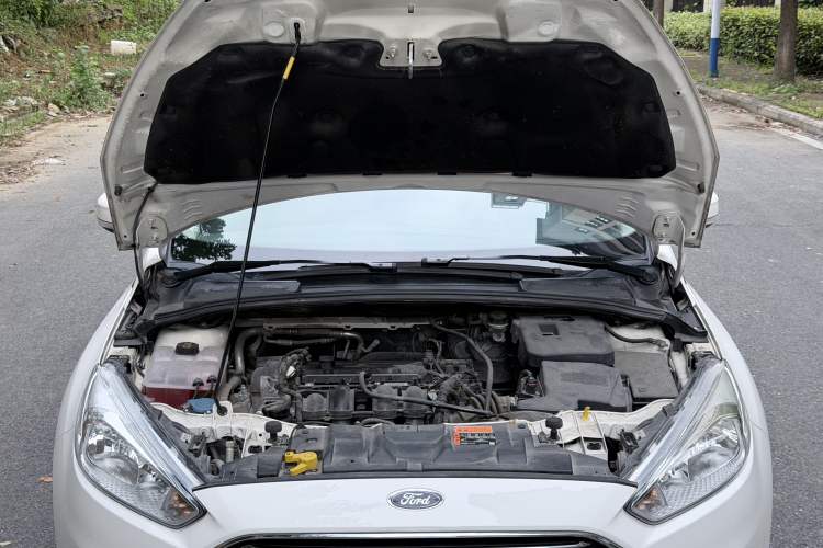 Used Ford Focus 2017 Sedan 1.6L Manual Comfort Plus SmartDrive Edition Engine Bay