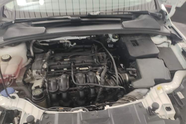 Used Ford Focus 2017 Sedan 1.6L Automatic Fashion Edition Smart Drive Version Engine Bay