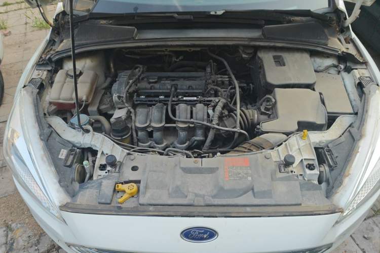 Used Ford Focus 2017 Sedan 1.6L Automatic Comfort Plus SmartDrive Edition Engine Bay