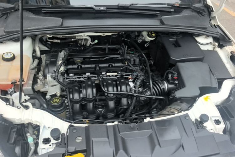 Used Ford Focus 2017 Sedan 1.6L Automatic Fashion Edition Smart Drive Version Engine Bay