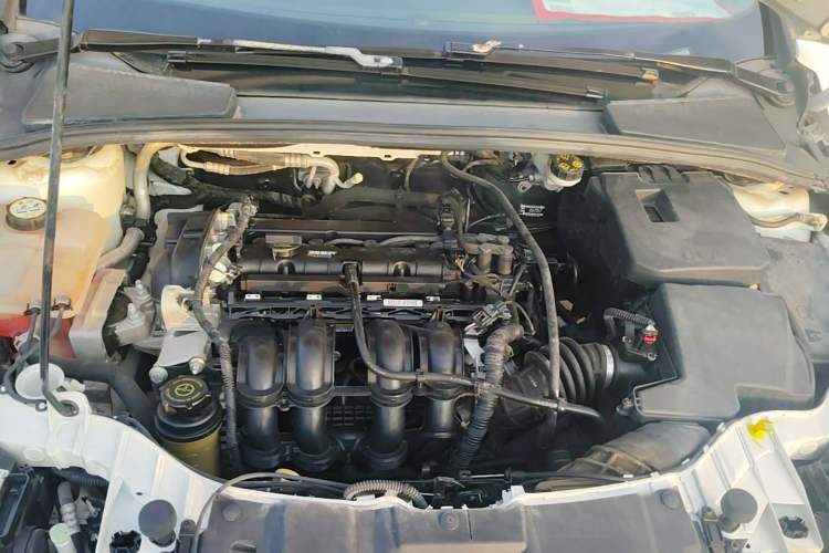 Used Ford Focus 2017 Sedan 1.6L Automatic Comfort Plus SmartDrive Edition Engine Bay