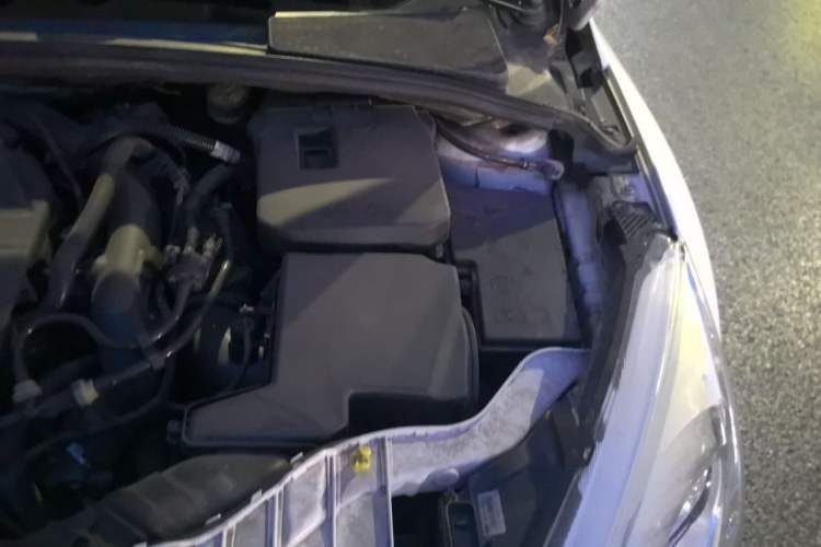 Used Ford Focus 2017 Sedan EcoBoost 180 Automatic Elite Model Engine Bay Left