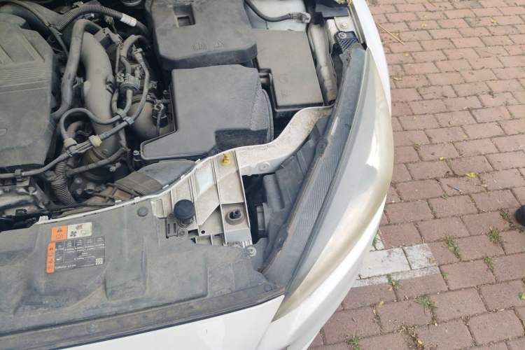 Used Ford Focus 2017 Hatchback EcoBoost 180 Automatic Elite Model Engine Bay Left