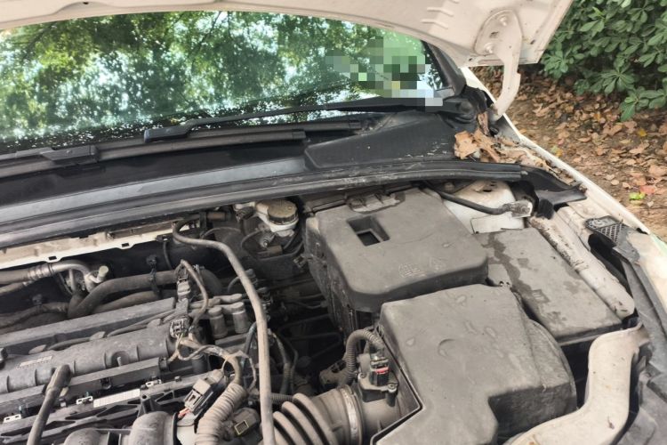 Used Ford Focus 2017 Sedan 1.6L Manual Comfort Plus SmartDrive Edition Engine Bay Left