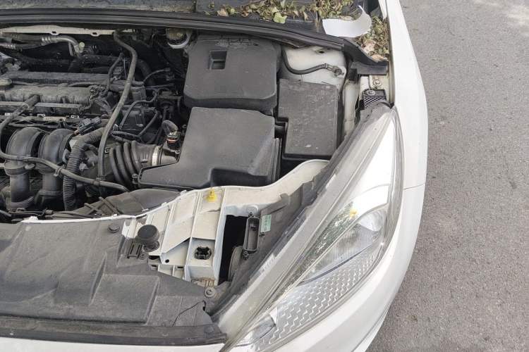 Used Ford Focus 2017 Sedan 1.6L Automatic Comfort Plus SmartDrive Edition Engine Bay Left