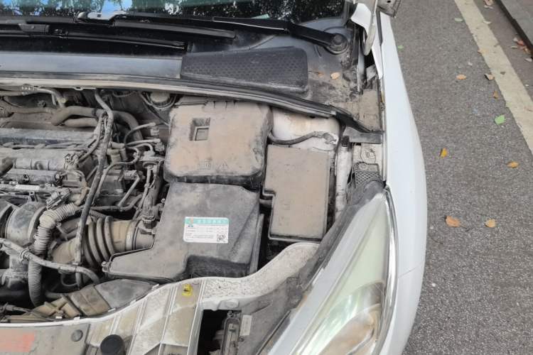 Used Ford Focus 2017 Sedan 1.6L Automatic Comfort Plus SmartDrive Edition Engine Bay Left