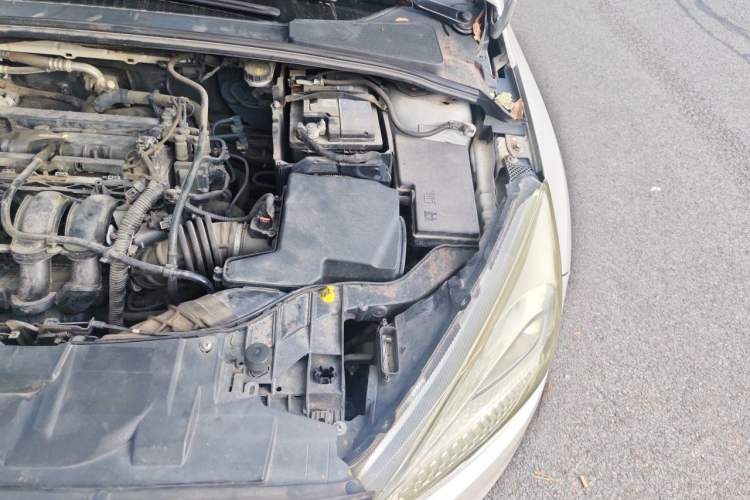 Used Ford Focus 2017 Hatchback 1.6L Manual Fashion Edition SmartDrive Version Engine Bay Left