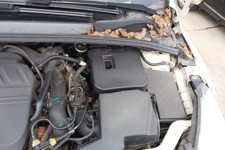 Used Ford Focus 2017 Sedan EcoBoost 180 Automatic Elite Model Engine Bay Left