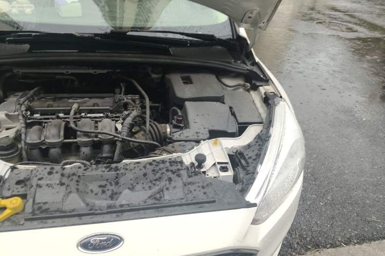 Used Ford Focus 2017 Hatchback 1.6L Automatic Comfort Plus SmartDrive Edition Engine Bay Left