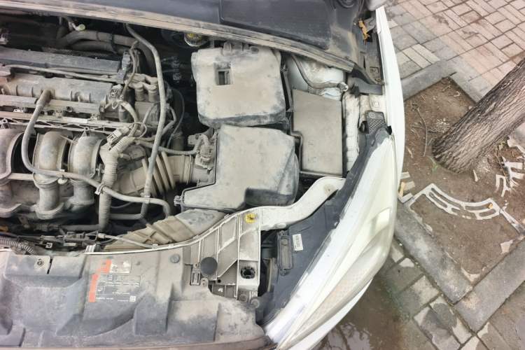 Used Ford Focus 2017 Hatchback 1.6L Manual Comfort Plus SmartDrive Edition Engine Bay Left