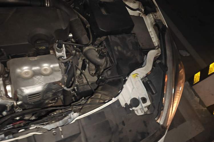 Used Ford Focus 2017 Sedan EcoBoost 125 Automatic Supreme Style SmartDrive Edition Engine Bay Left