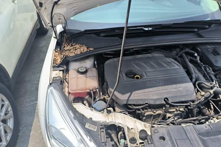 Used Ford Focus 2017 Sedan EcoBoost 180 Automatic Elite Model Engine Bay Right