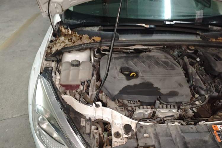 Used Ford Focus 2017 Hatchback EcoBoost 180 Automatic Elite Model Engine Bay Right