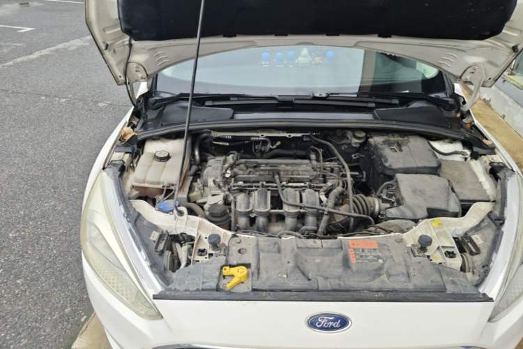 Used Ford Focus 2017 Hatchback 1.6L Automatic Comfort Plus SmartDrive Edition Engine Bay Right