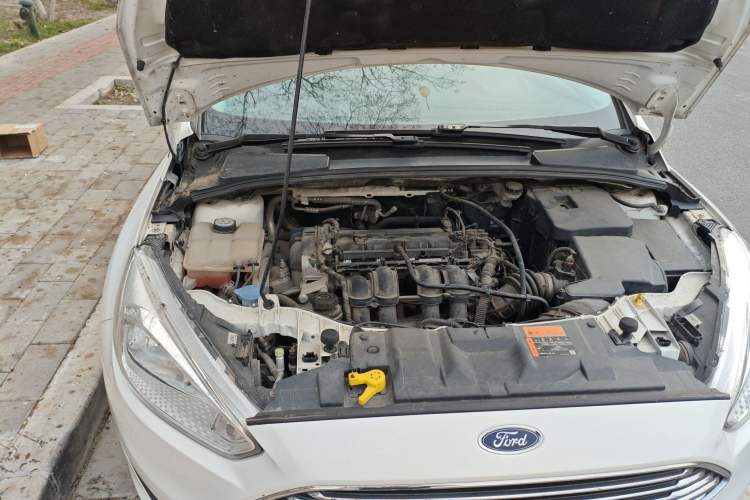 Used Ford Focus 2017 Sedan 1.6L Automatic Comfort Plus SmartDrive Edition Engine Bay Right