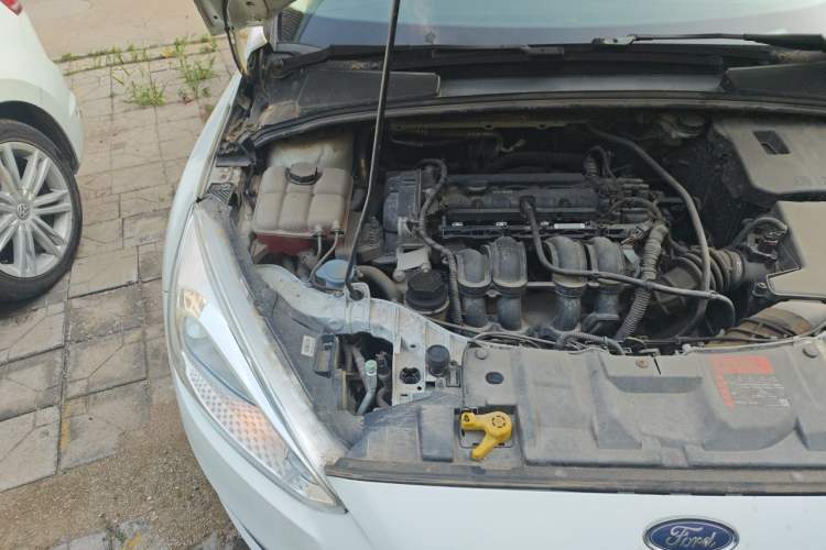 Used Ford Focus 2017 Sedan 1.6L Automatic Comfort Plus SmartDrive Edition Engine Bay Right